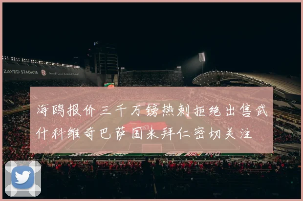 海鸥报价三千万镑热刺拒绝出售武什科维奇巴萨国米拜仁密切关注