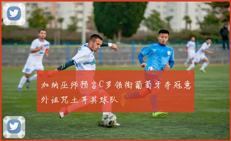 加纳巫师预言C罗领衔葡萄牙夺冠意外诅咒土耳其球队